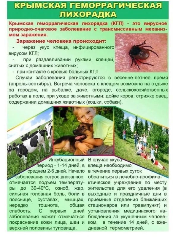 Федеральное бюджетное учреждение здравоохранения "Центр гигиены и эпидемиологии в Донецкой Народной Республике" напоминает Федеральное бюджетное учреждение здравоохранения "Центр гигиены и эпидемиологии в Донецкой Народной Республике" напоминает