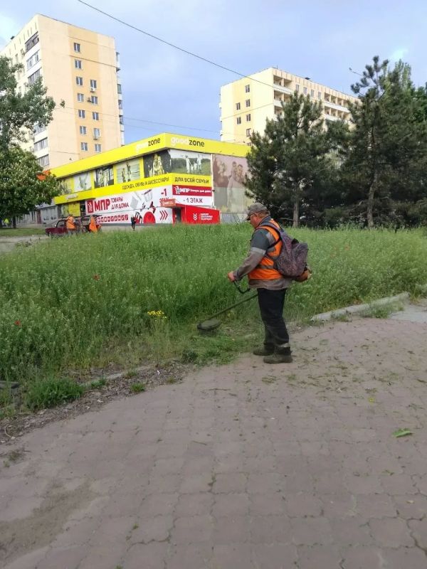 Наши коммунальные службы продолжают активный покос травы Наши коммунальные службы продолжают активный покос травы