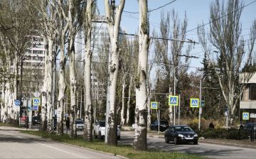 В случае незначительного ДТП без пострадавших, его можно оформить по европротоколу — в приложении «Госуслуги Авто»