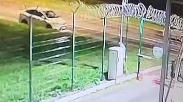 Блогера Диану Чистякову осудили на 12 лет по делу о покушении на теракт в Санкт-Петербурге