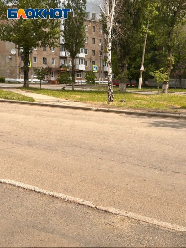 Жители Енакиево требуют установить лежачий полицейский перед опасным переходом Жители Енакиево требуют установить лежачий полицейский перед опасным переходом