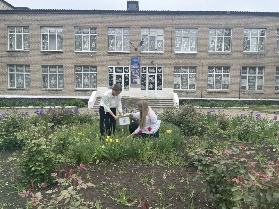 Государственное бюджетное общеобразовательное учреждение "Средняя школа № 59 городского округа Макеевка" Донецкой Народной Республики присоединилось к ежегодной Всероссийской акции «Сад – Связь поколений»