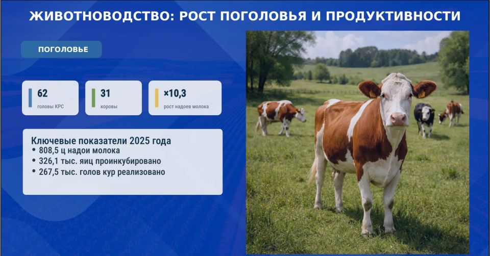 На оперативном совещании Глава ДНР Денис Владимирович Пушилин говорил о том, как важно заботиться о нашей земле, о тех, кто трудится на ней, и о наших сёлах На оперативном совещании Глава ДНР Денис Владимирович Пушилин говорил о том, как важно заботиться о нашей земле, о тех, кто трудится на ней, и о наших сёлах