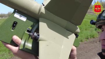 ���������� ������: �������������� ������ ���������� ���������� ����������� ������ � ������� ������-������������� ����� ������������� ������������ ���, ��������� ������������ ������������� ��������� ����� �����