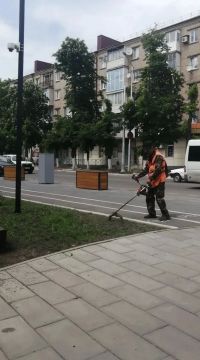 ������������� �������� ���������� ��������������� ���������� ������ �����������