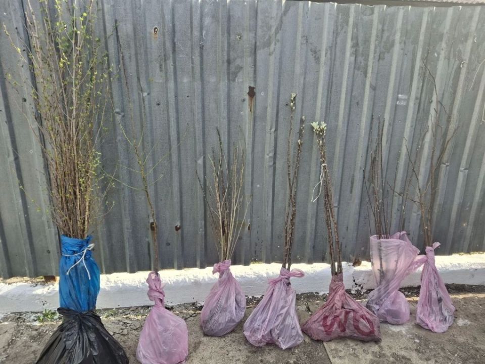 Село Каменка Старобешевского округа преображается! Село Каменка Старобешевского округа преображается!