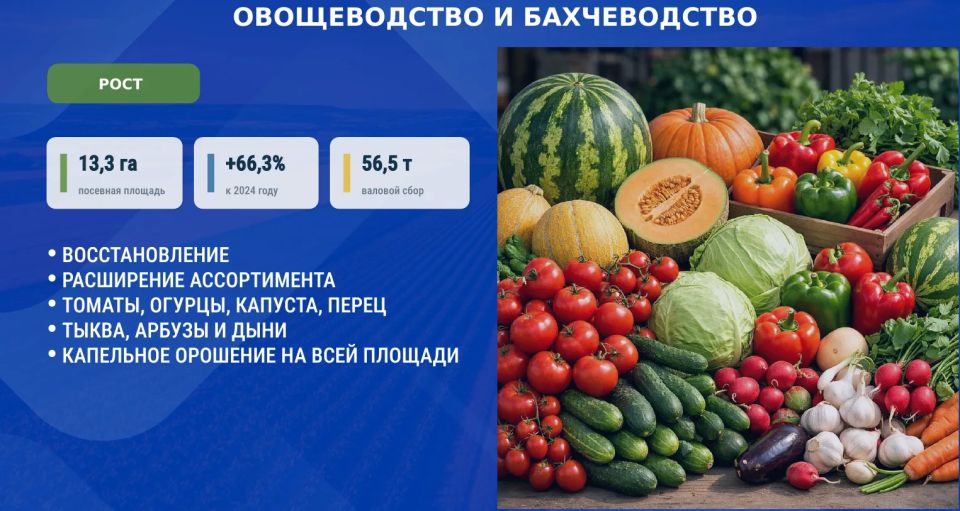 На оперативном совещании Глава ДНР Денис Владимирович Пушилин говорил о том, как важно заботиться о нашей земле, о тех, кто трудится на ней, и о наших сёлах На оперативном совещании Глава ДНР Денис Владимирович Пушилин говорил о том, как важно заботиться о нашей земле, о тех, кто трудится на ней, и о наших сёлах