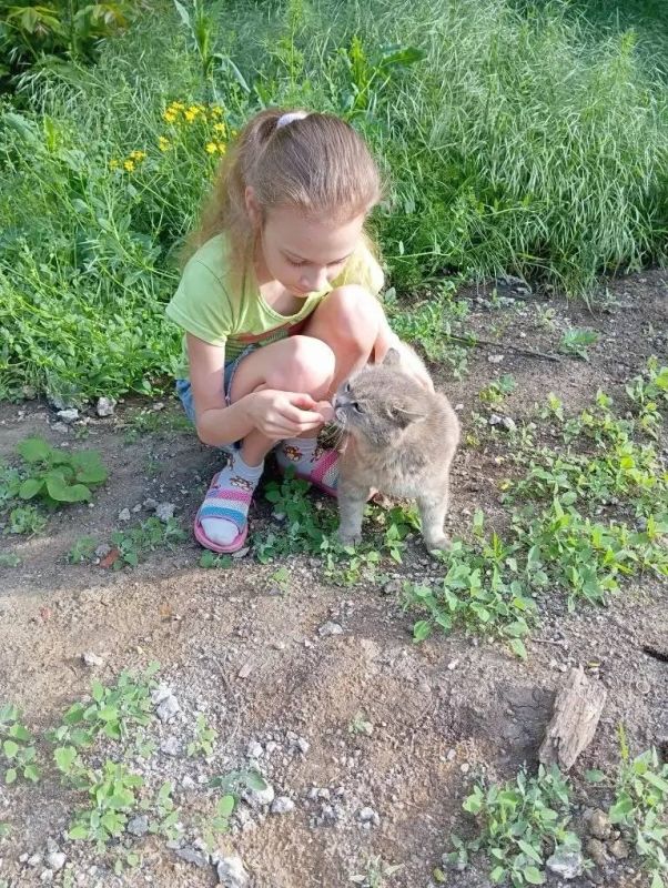 Добрые сердца в действии. Еще одно маленькое доброе дело в рамках акции «Маленькие добрые дела» совершили учащиеся ГБОУ "Школа №152 им. Героев-десантников г.о.Донецк" Добрые сердца в действии. Еще одно маленькое доброе дело в рамках акции «Маленькие добрые дела» совершили учащиеся ГБОУ "Школа №152 им. Героев-десантников г.о.Донецк"