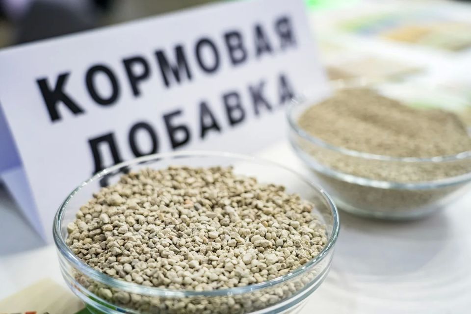 Управление Федеральной службы по ветеринарному и фитосанитарному надзору по Донецкой Народной Республике и Луганской Народной Республике информирует, что Россельхознадзором принято решение о возобновлении с 19.05.2026...