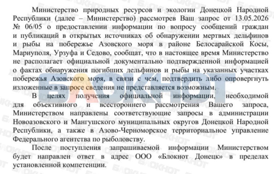 В Минприроды не подтвердили гибель дельфинов и рыбы на побережье Азовского моря В Минприроды не подтвердили гибель дельфинов и рыбы на побережье Азовского моря