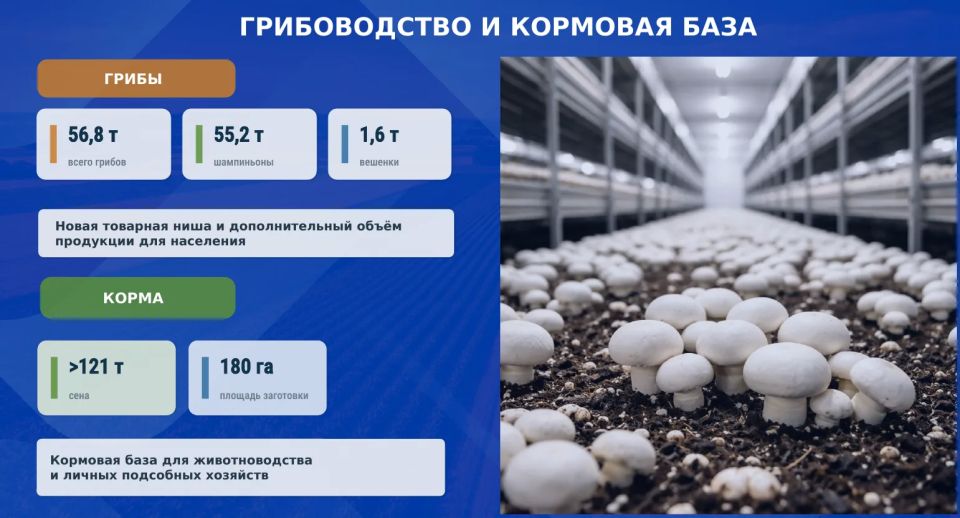 На оперативном совещании Глава ДНР Денис Владимирович Пушилин говорил о том, как важно заботиться о нашей земле, о тех, кто трудится на ней, и о наших сёлах На оперативном совещании Глава ДНР Денис Владимирович Пушилин говорил о том, как важно заботиться о нашей земле, о тех, кто трудится на ней, и о наших сёлах