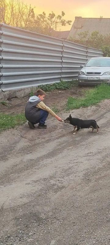 Добрые сердца в действии. Еще одно маленькое доброе дело в рамках акции «Маленькие добрые дела» совершили учащиеся ГБОУ "Школа №152 им. Героев-десантников г.о.Донецк" Добрые сердца в действии. Еще одно маленькое доброе дело в рамках акции «Маленькие добрые дела» совершили учащиеся ГБОУ "Школа №152 им. Героев-десантников г.о.Донецк"