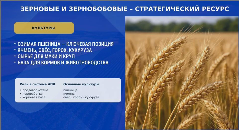 На оперативном совещании Глава ДНР Денис Владимирович Пушилин говорил о том, как важно заботиться о нашей земле, о тех, кто трудится на ней, и о наших сёлах На оперативном совещании Глава ДНР Денис Владимирович Пушилин говорил о том, как важно заботиться о нашей земле, о тех, кто трудится на ней, и о наших сёлах
