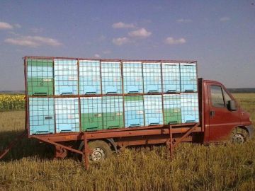 Правила перевозки пчёл в период кочёвки
