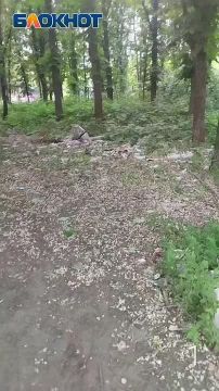 Второй месяц на Бирюзова в Донецке разрастается свалка в парковой зоне