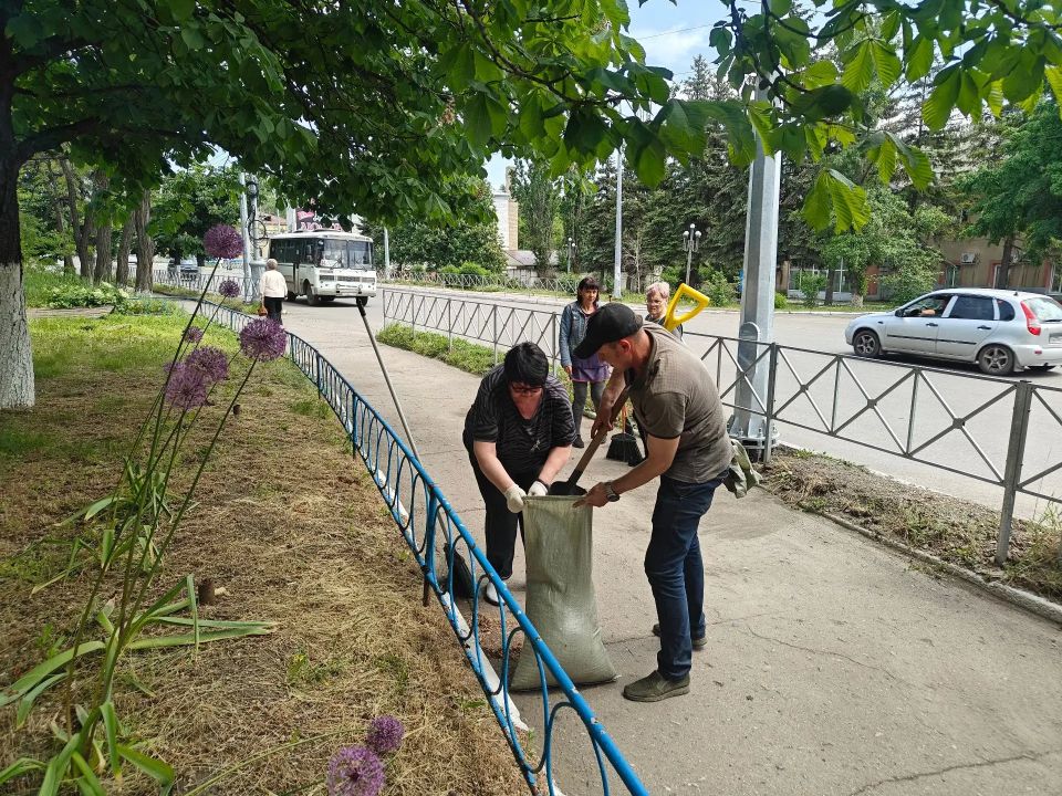 В Снежном прошла еженедельная акция «Чистый четверг» В Снежном прошла еженедельная акция «Чистый четверг»