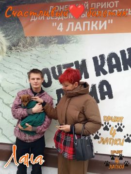 Нашей рубрике «Возьми питомца из приюта» уже месяц!