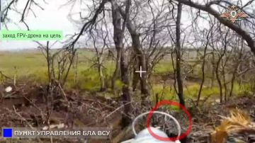 238 бригада уничтожает Д-30, ПУ БЛА и позиции ВСУ в Старорайском, Райском и Новогригоровке