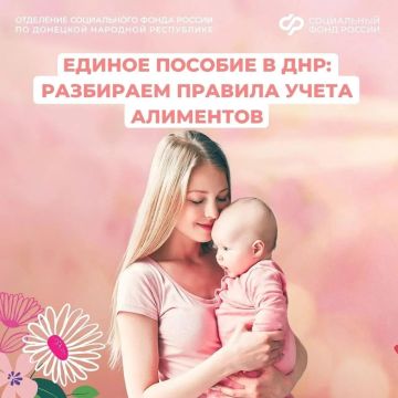 Новый порядок учета алиментов: что нужно знать родителям из ДНР в 2026 году