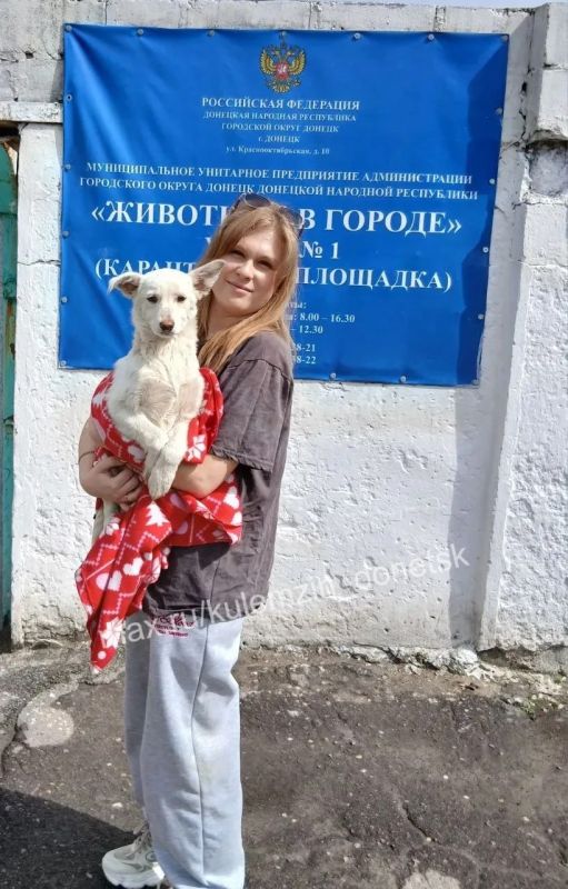 Алексей Кулемзин: Предприятие «Животные в городе» осуществляет комплексную помощь бездомным животным, включая отлов, ветеринарное обслуживание и поиск новых владельцев Алексей Кулемзин: Предприятие «Животные в городе» осуществляет комплексную помощь бездомным животным, включая отлов, ветеринарное обслуживание и поиск новых владельцев
