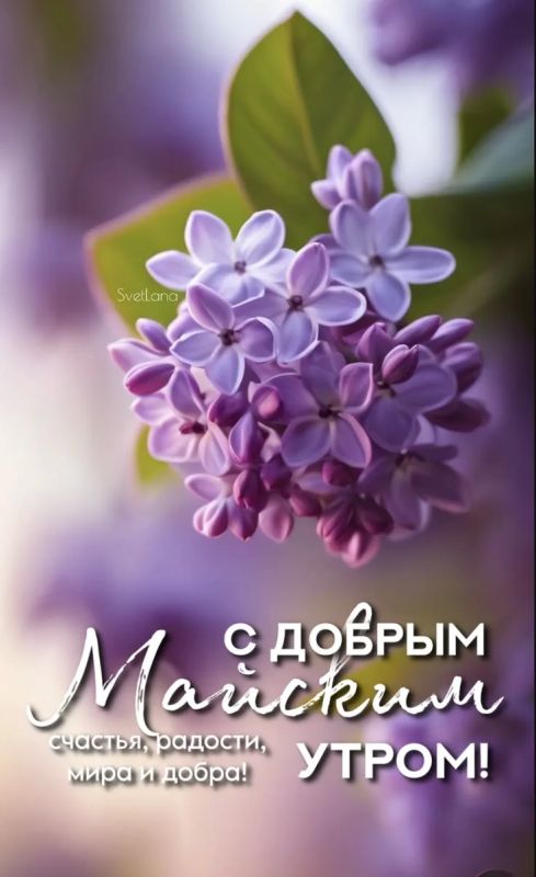 #доброе_утро