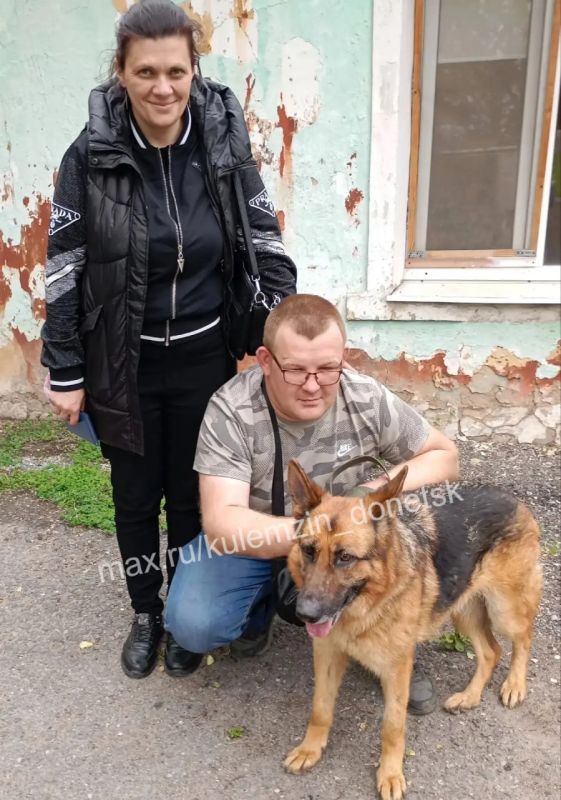 Алексей Кулемзин: Предприятие «Животные в городе» осуществляет комплексную помощь бездомным животным, включая отлов, ветеринарное обслуживание и поиск новых владельцев
