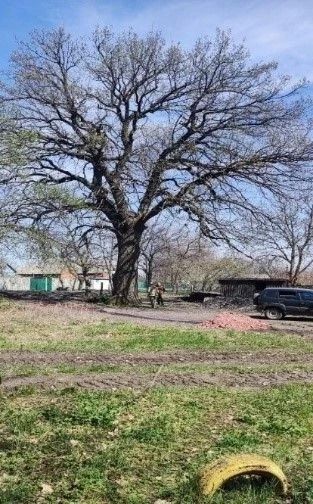 Поддержим наше природное достояние!
