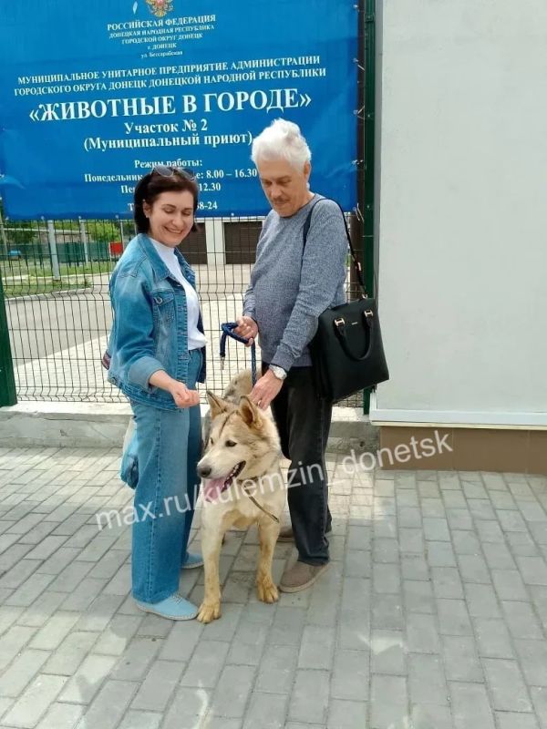 Алексей Кулемзин: Предприятие «Животные в городе» осуществляет комплексную помощь бездомным животным, включая отлов, ветеринарное обслуживание и поиск новых владельцев Алексей Кулемзин: Предприятие «Животные в городе» осуществляет комплексную помощь бездомным животным, включая отлов, ветеринарное обслуживание и поиск новых владельцев