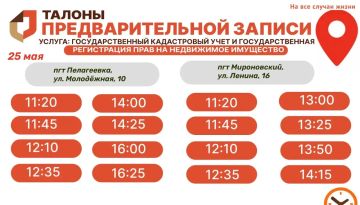 Актуальное наличие талонов в настоящий момент в разных отделениях МФЦ