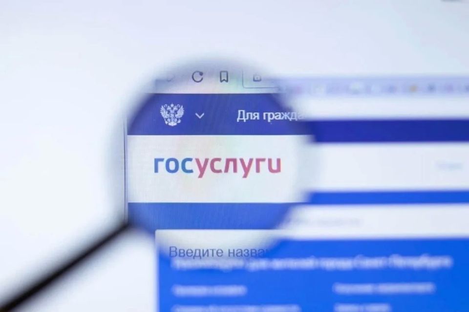 Как правильно указать реквизиты счета для получения пенсий и пособий в ДНР в 2026 году: 6 шагов по оформлению через портал «Госуслуги»