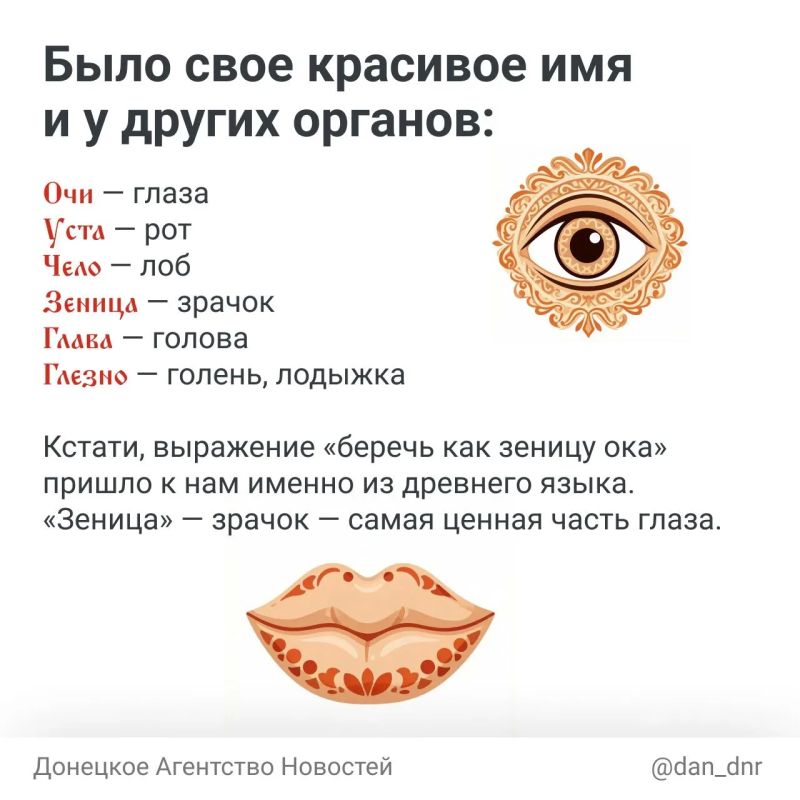 Говорят, что если прочитать старославянский алфавит не по буквам, а по значениям их названий, можно узнать старинное послание! Говорят, что если прочитать старославянский алфавит не по буквам, а по значениям их названий, можно узнать старинное послание!