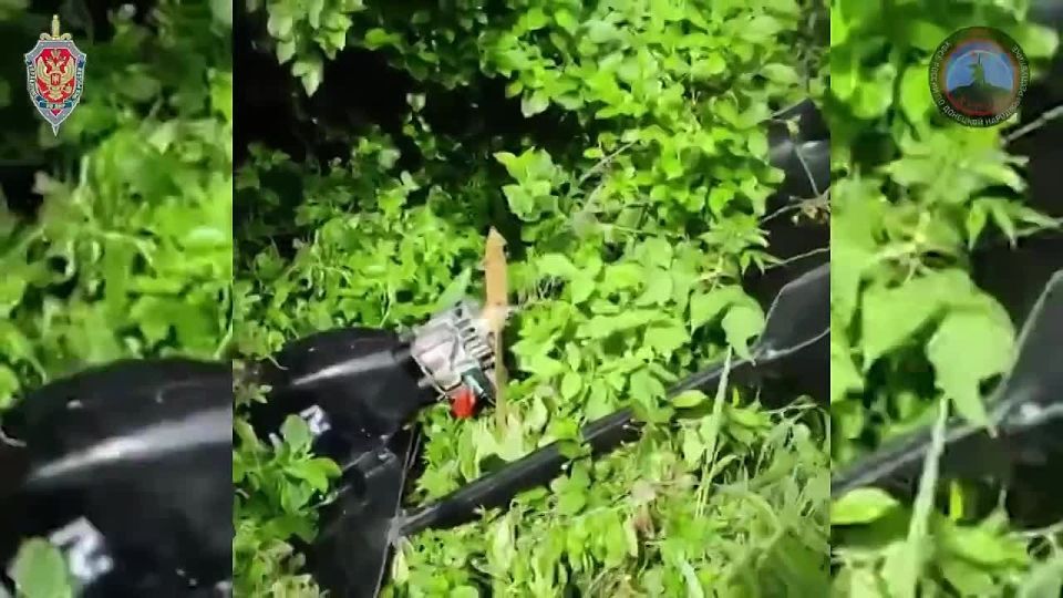 За неделю «Купол Донбасса» предотвратил 63 атаки противника