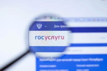 Как правильно указать реквизиты счета для получения пенсий и пособий в ДНР в 2026 году: 6 шагов по оформлению через портал «Госуслуги»