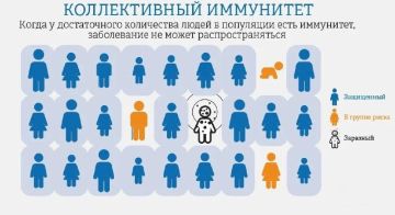 Что такое коллективный иммунитет и какую роль он играет