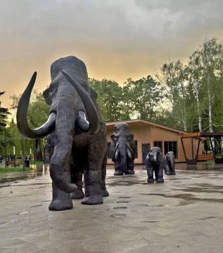 Доброе утро!. Понедельник - начало новых дел и возможностей