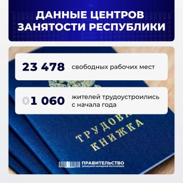 Вице-премьер Лариса Толстыкина сообщила о свободных рабочих местах в ДНР