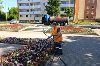 В Мариуполе рассказали, как поддерживают зеленые насаждения в жаркую погоду