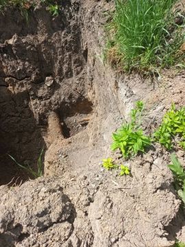 Партия рядом! Делаем добрые дела в Амвросиевском округе