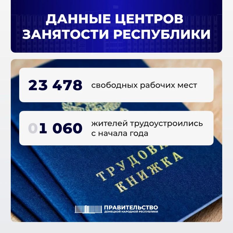 Вице-премьер Лариса Толстыкина сообщила о свободных рабочих местах в ДНР