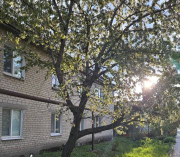 Наталья Великодная: Доброе утро, уважаемые жители!