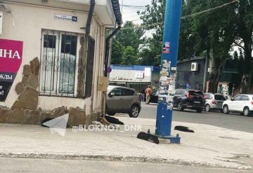 Шестеро собак оккупировали площадку на автостанции Плеханова