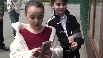 Двух бурых медвежат из мариупольского «Парка дикой природы» отправили в Нальчикский зоопарк