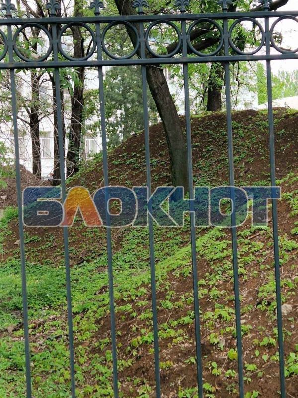 В больнице Калинина в Донецке строили здание по оказанию экстренной помощи, а убили деревья В больнице Калинина в Донецке строили здание по оказанию экстренной помощи, а убили деревья