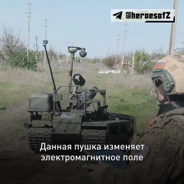 Работал автомехаником, отучился на повара, потом на ветеринара