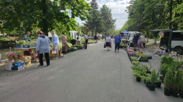 В поселке Старобешево состоялась выездная торговая ярмарка