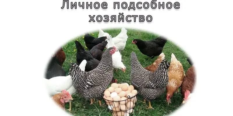 26 мая сотрудники отдела государственного земельного надзора и контроля в области обращения пестицидов и агрохимикатов по ДНР Управления Россельхознадзора по ДНР и ЛНР провели профилактические визиты по инициативе... 26 мая сотрудники отдела государственного земельного надзора и контроля в области обращения пестицидов и агрохимикатов по ДНР Управления Россельхознадзора по ДНР и ЛНР провели профилактические визиты по инициативе...