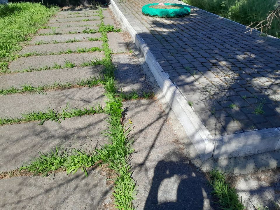 Маленькие добрые дела.. В рамках партийной акции «Маленькие добрые дела» сотрудники МБУ «ЦБС г.о. Дебальцево» привели в порядок братскую могилу погибших жителей города во время оккупации немецкими войсками, а также... Маленькие добрые дела.. В рамках партийной акции «Маленькие добрые дела» сотрудники МБУ «ЦБС г.о. Дебальцево» привели в порядок братскую могилу погибших жителей города во время оккупации немецкими войсками, а также...