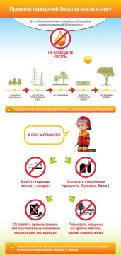 ПАМЯТКА ПОЖАРНОЙ БЕЗОПАСНОСТИ ДЛЯ ДЕТЕЙ В ПЕРИОД КАНИКУЛ