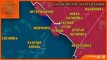 ВС РФ освободили населённый пункт Гранов в Харьковской области и Воздвижевка в Запорожской области