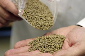 Управление Федеральной службы по ветеринарному и фитосанитарному надзору по Донецкой Народной Республике и Луганской Народной Республике информирует, что Россельхознадзором принято решение о приостановлении с 27.05.2026...